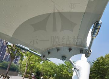 示一膜結構端午節(jié)祝福
